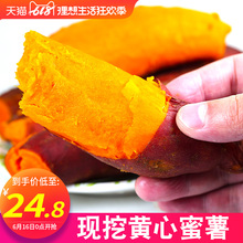 红薯 新鲜蜜薯10斤带箱农家香甜薯板栗地瓜糖心小番薯山芋紫箱包装