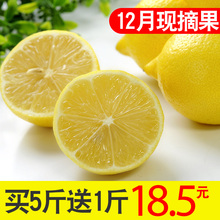 安岳黄柠檬6斤柠檬水果批发包邮整箱新鲜一级果皮薄5青香水鲜柠檬