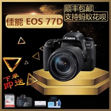 77D 入门单反数码 套机 佳能EOS 正品 Canon 135mm 相机高清旅游