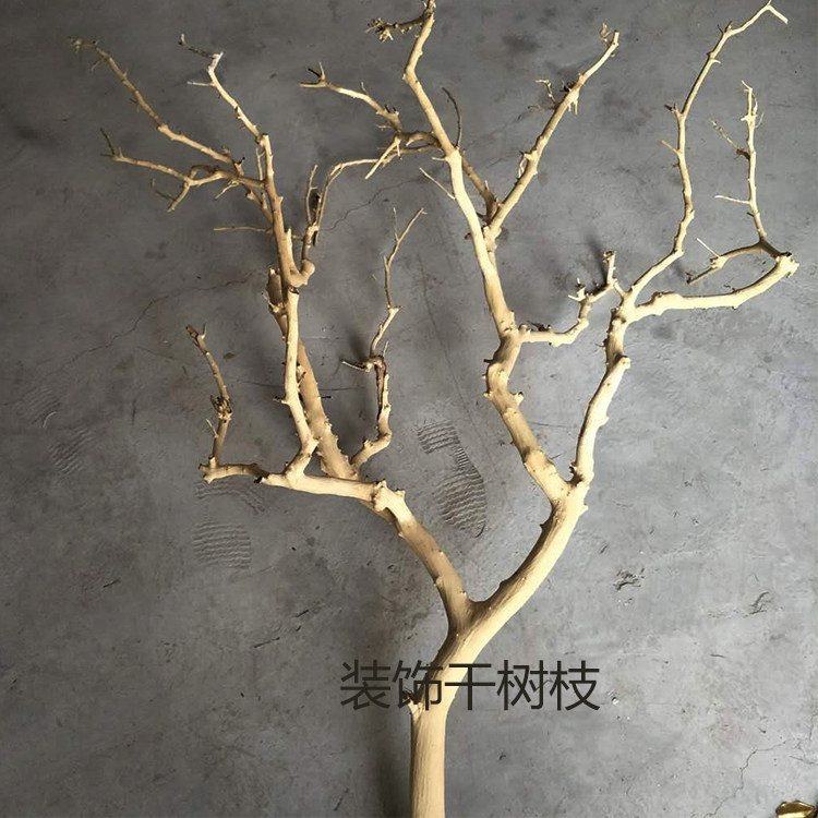 枝条如何进行弯曲造型,树枝弯曲造型怎么做的,盆景打弯款式大全(第17页)_大山谷图库
