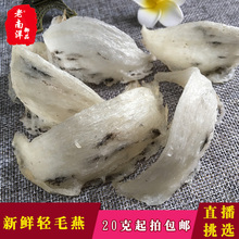 老南洋御品印尼进口雨季原生态天然毛燕窝正品 极轻毛白燕盏1g
