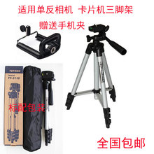 特峰TF 3110适用单反数码 相机卡片机小型摄像机三脚架手机三角架