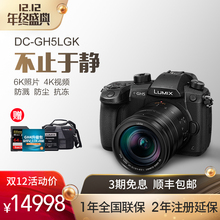 GH5LGK微型单电数码 旗舰店官网 相机GH5L套机 Panasonic松下DMC