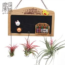 配件 植物窗帘 空凤来仪 底座 订制挂钩 空气凤梨