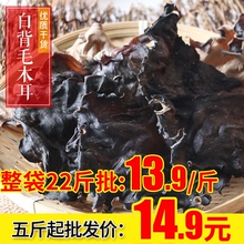餐饮直供南北干货四川特产毛木耳大木耳火锅麻辣烫脆木耳500g起卖