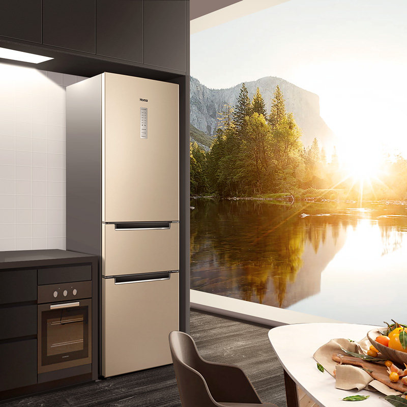 ���������ű���BCD-219WDT/B