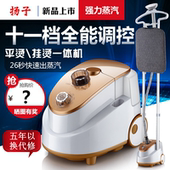 店用手持立式熨斗正品 家用蒸汽烫衣服 包邮 熨烫机服装 扬子挂烫机