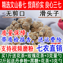 云南文山春三七无剪口20头30头40头60滑头田七500g 包邮 可代磨细粉