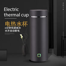 凌洋小型便携式旅行用电热水杯煮粥加热迷你水壶旅游电热水壶正品