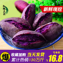 2018新鲜紫薯番薯现挖地瓜芋头红薯5斤农家蔬菜批发包邮10