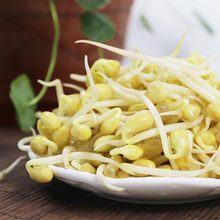 自然泡发 豆芽菜 新鲜蔬菜 短豆芽 密云安心黄豆芽 350g