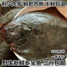 包邮 鲜活海鲜水产新鲜多宝鱼大菱鲆比目鱼鲜活多宝鱼野生新鲜海鱼