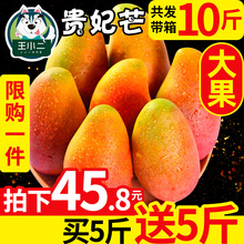 海南贵妃芒带箱10斤芒果新鲜水果批发小青大 当季整 包邮 买1送1