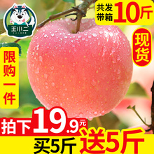 【买1送1】苹果水果新鲜应季带箱10斤当季整箱红富士丑青苹果嘎啦