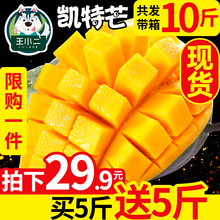 买1送1 包邮 攀枝花凯特芒果新鲜水果 青芒当季甜心芒大带箱10斤