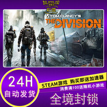Steam PC中文版Tom Clancy’s The Division 全境封锁标准DLC2
