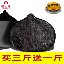 包邮 黒祘种子金乡黑祘发酵黑蒜头独头黑蒜 低价 黑大蒜头
