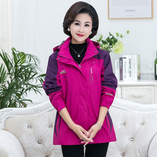 特大码妈妈装外套春秋装新款中老年女运动服老人冲锋衣中年女风衣