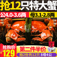 大蟹12只第2件半价螃蟹鲜活大闸蟹鲜活现货特大螃蟹全母螃蟹螃蟹