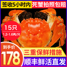 【10只送5只】蟹捕头大闸蟹现货鲜活螃蟹礼盒1.2-1.6两/只 发15只