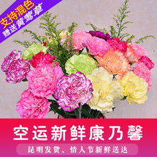 控塑跋驶ǖネ芳彝ゲ寤ɡ裎镌颇习俸厦倒宥嗌鲜切花花束速递到家