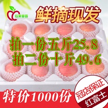 包邮 现摘山东烟台栖霞红富士苹果5斤脆甜80山地新鲜整箱水果