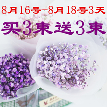 包邮 干花批发满天星干花花束永生花家居摆设插花小清新薰衣草鲜花