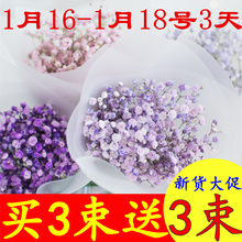 满天星干花ins小花束网红真花批发风干论斤卖永生花家居摆设天然