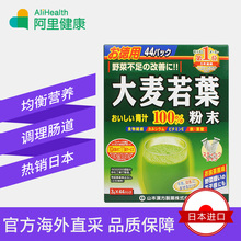 分条装 盒青汁抹茶代餐粉 44袋 大麦若叶青汁粉末 日本山本汉方