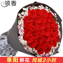 阜阳鲜花速递红香槟玫瑰鲜花礼盒生日表白花束颍州颍东颍泉送花店