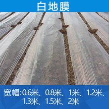 大棚膜 无滴膜园艺用品膜 防尘塑料膜 白地膜 透明塑料薄膜