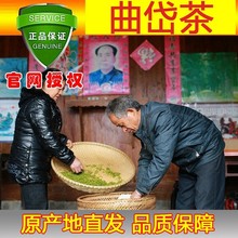 包邮 原产地发货正品 曲岱茶云南彝良县曲岱茶正品