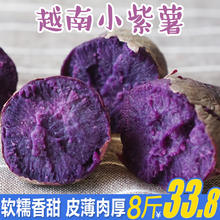 越南进口小紫薯8斤 新鲜番薯现挖迷你地瓜红香薯紫山芋头批发包邮