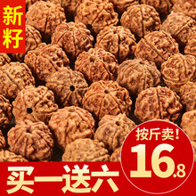 尼泊尔爆肉大金刚菩提子通货5五6六瓣男士手串原籽散珠批发按斤