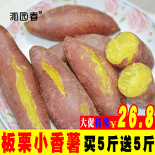 红薯新鲜板栗红薯蜜薯农家自种小香薯烤地瓜番薯山芋10斤 沁园春