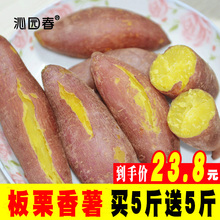 沁园春红薯新鲜板栗红薯蜜薯农家小红香薯烤地瓜紫薯山芋10斤番薯