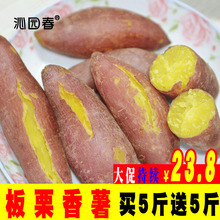 红薯新鲜板栗红薯蜜薯农家自种小香薯烤地瓜番薯山芋10斤 沁园春