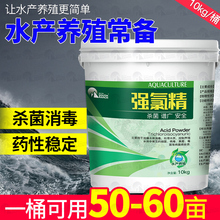 氯片强氯精游泳池鱼池塘杀菌消毒片灭藻除臭三氯异氰尿酸水产养殖