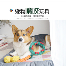 狗狗玩具咬绳耐咬磨牙绳结磨牙绳柯基法斗泰迪中小型犬磨牙玩具
