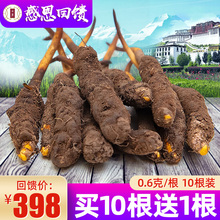 新鲜虫草 头期0.6克 2019新鲜冬虫夏草西藏那曲正品 根10根装