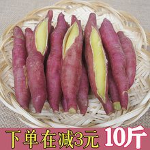 新鲜红薯陕西板栗地瓜农家自种蜜薯黄白心番薯10斤非天目山小香薯