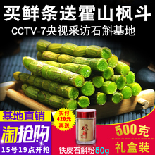 江楠枫 新鲜铁皮石斛鲜条500g 铁皮石斛枫斗霍山石斛干条 1斤礼盒
