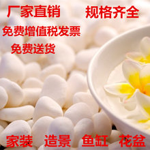 白色鹅卵石白色小石子石头雨花石花盆装饰品铺路白石子装饰石石头