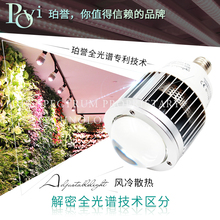 珀誉全光谱led植物生长灯大棚蔬菜花卉多肉补光防徒上色聚光灯泡