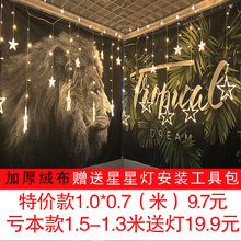 饰布 背景布ins挂布挂毯墙布网红抖音少女主播拍照宿舍床头卧室装