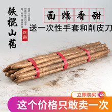 正宗新鲜陈集铁棍山药5斤山约怀淮山药铁杆山药非河南焦作山药