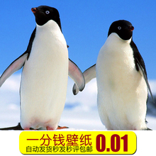 商品秒发秒评一分钱套餐美女图片壁纸自动发货手机一毛钱 0.01元