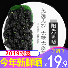 包邮 特级桑葚干野生干桑甚新鲜黑桑葚干免洗桑椹子204g泡水酒茶