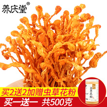 虫草花新1斤干货500克非特级鲜孢子头北金虫草菇煲汤材料蛹虫草
