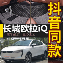 19款 改装 长城欧拉iQ纯电动新能源专用全包围汽车脚垫 2018 配件